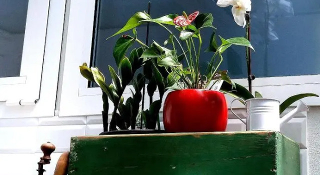 Коттедж c 1 комнатой Guest House CorteMazzini36