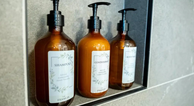 Двухместный люкс Deluxe The Francis Boutique Inn