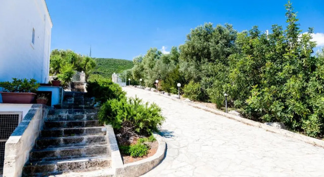 B&B Pozzo Di Luce, Book Bed and Breakfast Hotels in Fasano Area with a Pool, Swimming Pool