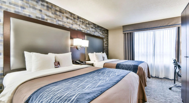 Четырёхместный номер Standard Comfort Hotel Airport North