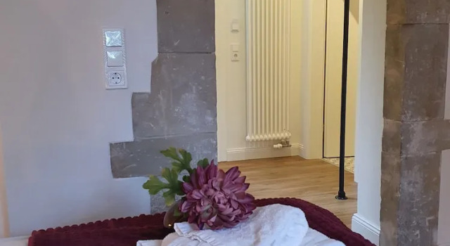 Номер Standard Boutique Hotel Villa Horbach