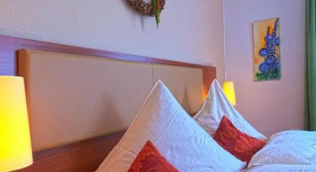 Номер Deluxe Hotel-Gasthof zur Sonne