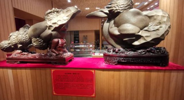 Qishi Yanyu Boutique Homestay