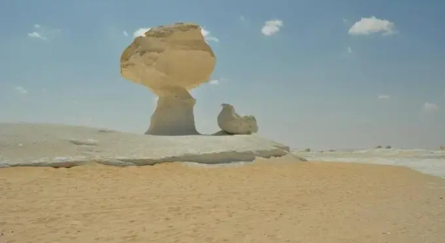 Badry Sahara Camp