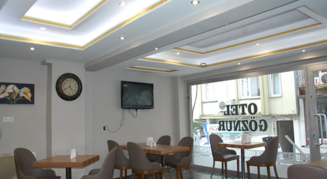 Одноместный номер Classic Göznur Otel