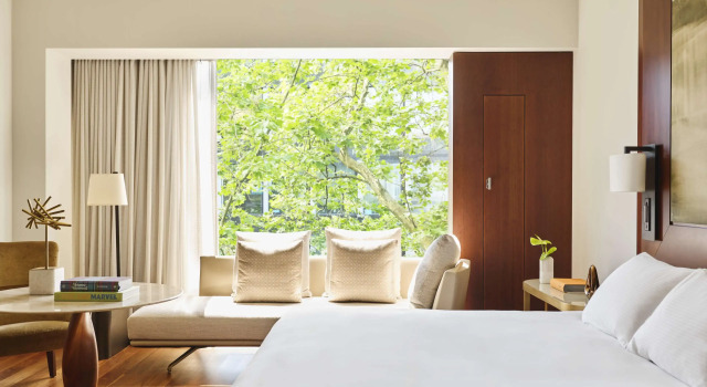 Двухместный номер Park Hyatt Zurich   City Center Luxury
