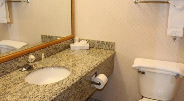 Номер Deluxe Gray Wolf Inn & Suites
