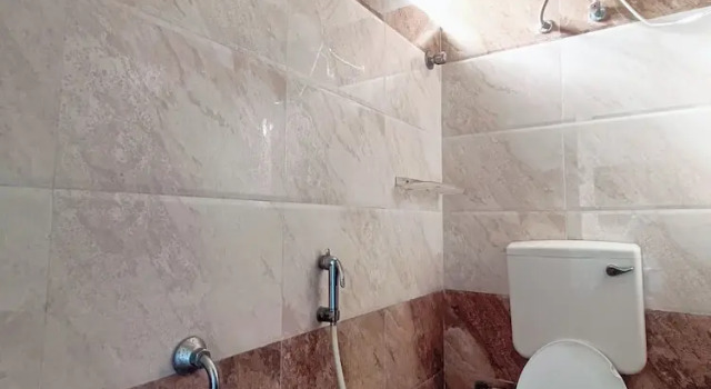 Номер Economy Green Tree Hotel-Near VFS Global and Ramee Mall