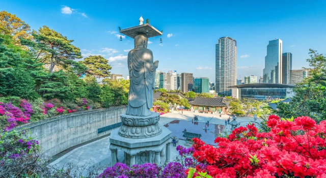 Eden Seoul Samsung, Rezerwuj Hotel Seul Republika Korei, w pobliżu Cafe Treeanon