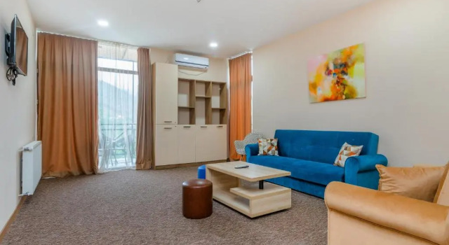 Студия Deluxe Terrace Borjomi Hotel
