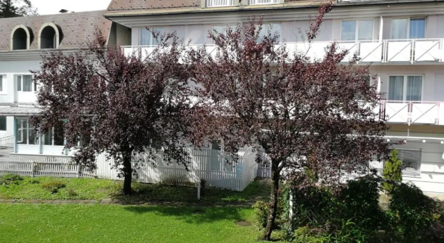 Апартаменты Comfort Family Apartments