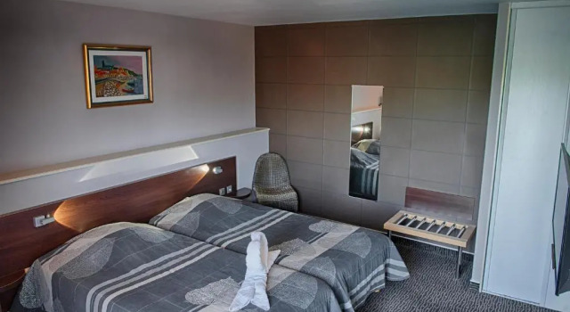 Двухместный номер Deluxe Logis Hôtel Le Bellevue