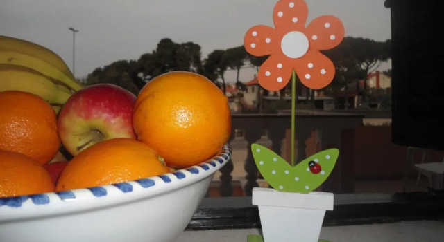 Студия Standard Apartment and Rooms Toka