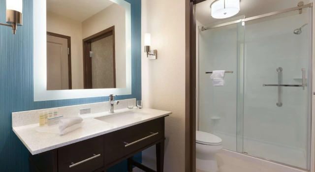 Четырёхместный люкс c 1 комнатой Homewood Suites by Hilton North Houston/Spring