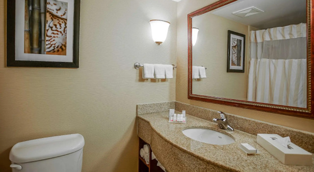 Четырёхместный номер Standard Wyndham Garden Kankakee