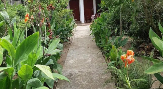 Brian's Homestay Balapitiya, Забронировать Апартаменты/квартира Балапития Округ Галле