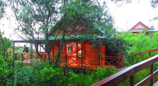 Двухместный номер Standard с балконом The Fernery Lodge & Spa