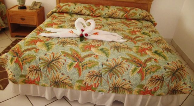 Номер Deluxe The Downtown Hotel