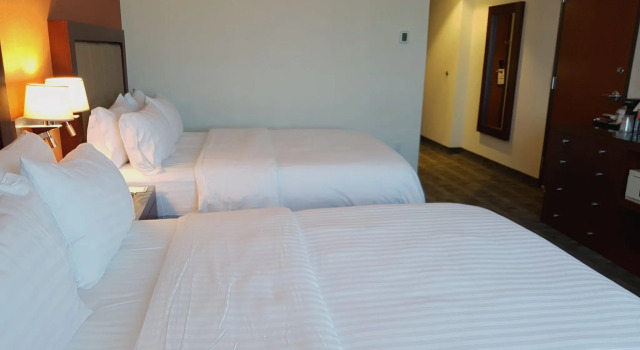 Номер Standard Holiday Inn Leon by IHG