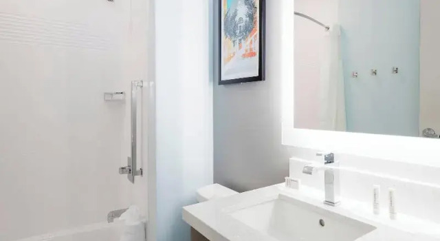 Двухместный люкс TownePlace Suites Amarillo West/Medical Center