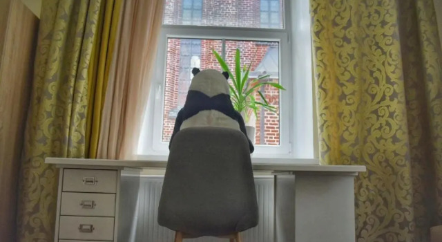 Апартаменты Panda House - Luxury in Old Town