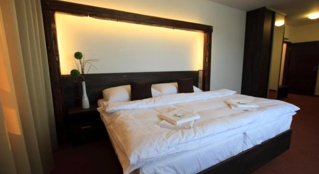 Hotel Hanzel