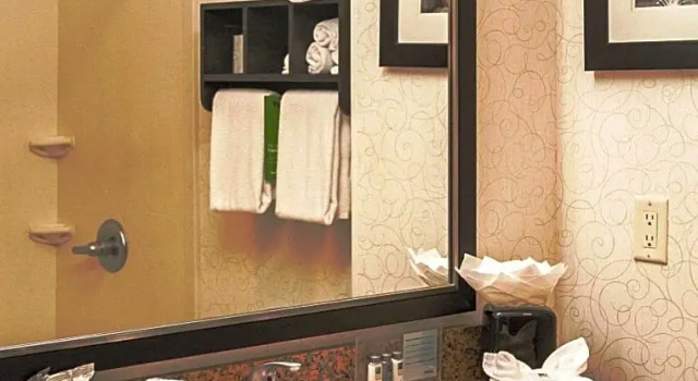 Двухместная студия для некурящих Mobility/Hearing Accessible with Roll-In Shower Hampton Inn & Suites Tulsa/Tulsa Hills