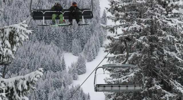 Totally Alpine