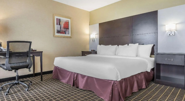 Двухместный люкс Quality Inn & Suites Windsor - Downtown