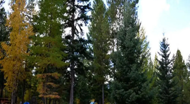 Тент Timber Wolf Campground Resort & Jeep Rentals