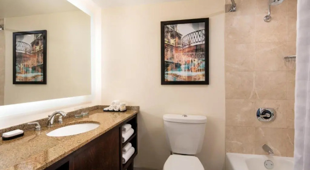 Двухместный люкс Mobility Hearing Access Roll In Shower Embassy Suites by Hilton New Orleans Convention Center