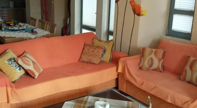 Zachs house, Book Hotel  