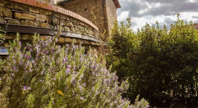 Agriturismo Fattoria Poggio di Fiesole, Book Hotel Hotels in Fiesole with Parking, Parking