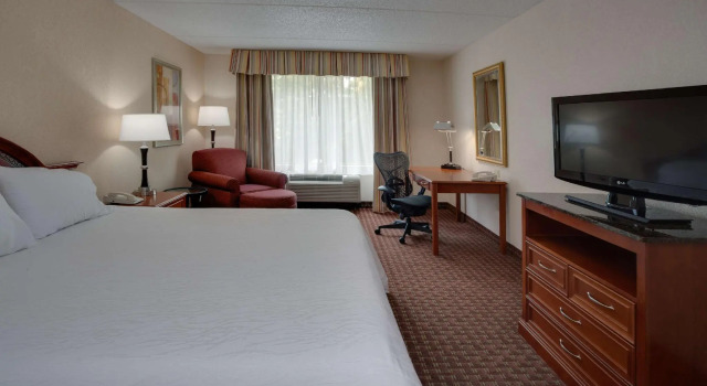 Двухместный номер Standard Hilton Garden Inn Cleveland Airport