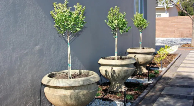 Green Kalahari Guesthouse, Boek Hotel Upington 