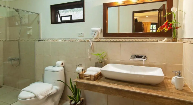 Номер Superior с видом на сад Oasis Resort