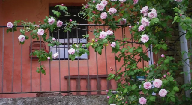 Appartamento nel Verde