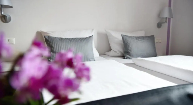 Одноместный номер Standard Hotel am alten Park