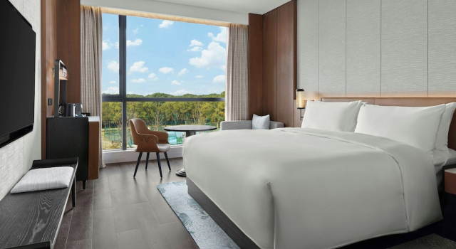 Двухместный номер Deluxe с видом на сад Sheraton Suzhou Yangcheng Lake
