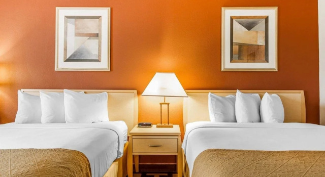 Номер Executive Quality Inn Petaluma - Sonoma