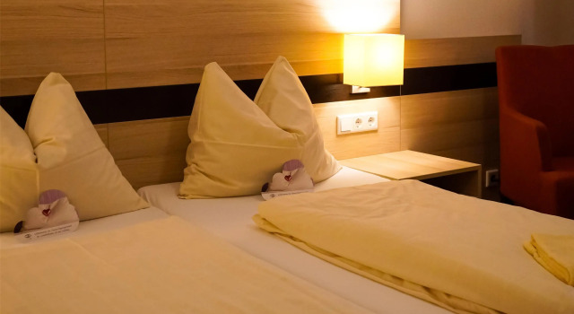 Двухместный номер Comfort TaunusTagungsHotel