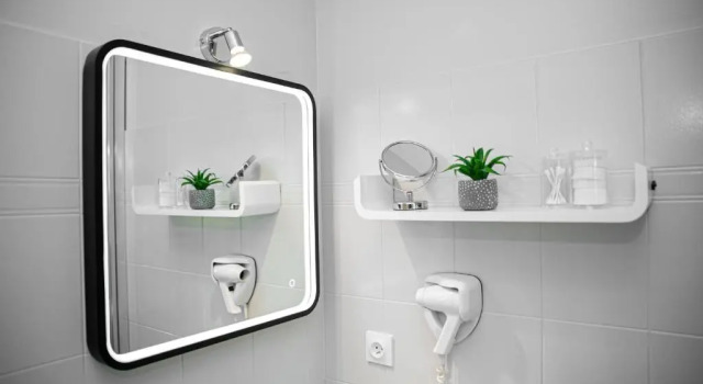 Двухместный номер Standard HOTEL DES DAUPHINS