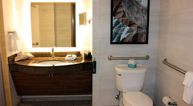 Номер Standard DoubleTree by Hilton Bay City - Riverfront