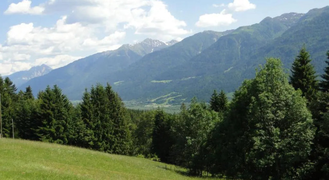 Апартаменты Bio-Bergbauernhof Weger