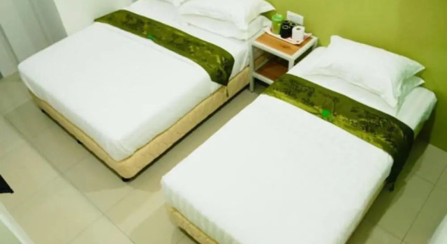 Люкс Green Hotel