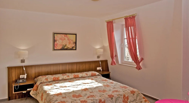 Двухместный номер Comfort Hotel Weberhof