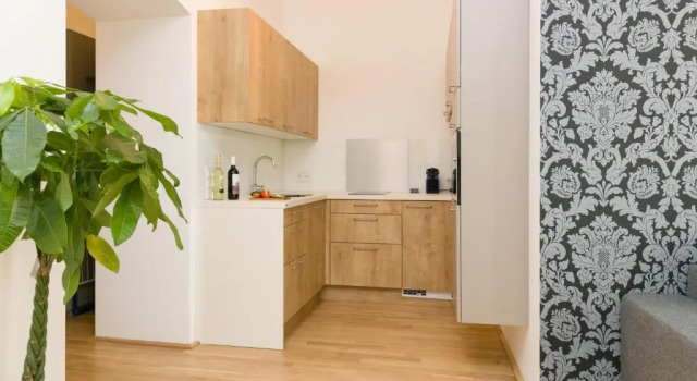 Апартаменты c 1 комнатой Vienna Stay Apartments Castellez 1020