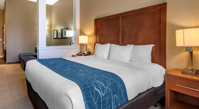 Двухместный люкс Comfort Suites Airport-University