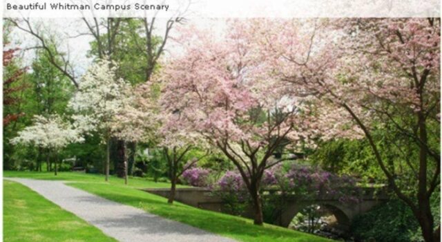 The Maxwell House Bed and Breakfast, Prenota Hotel Walla Walla 
