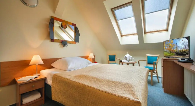 Standardowy jednoosobowy pokój Hotel Tosca